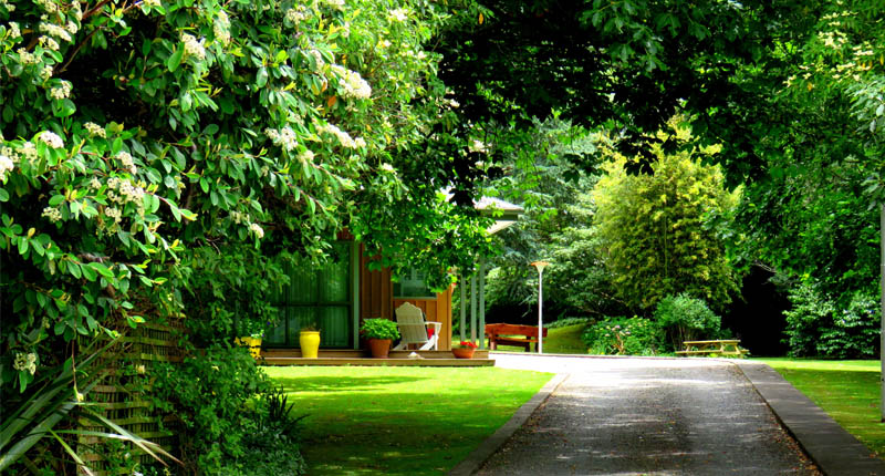 Havelock garden motel