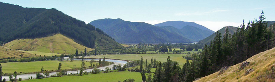 pelorus river view