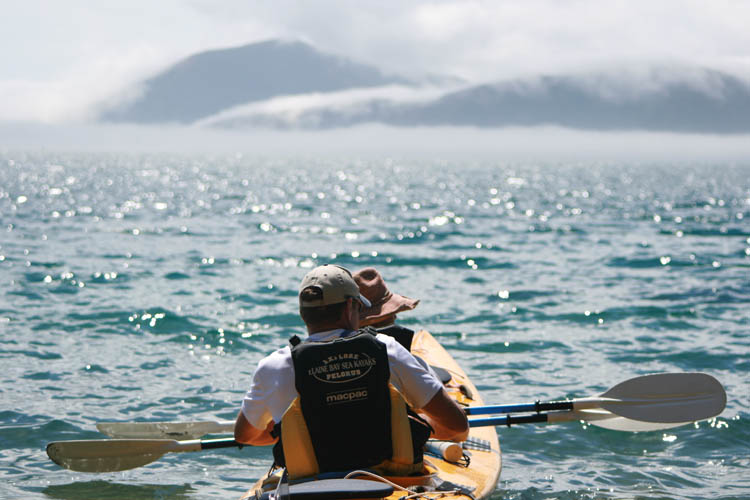 kayak hire marlborough sounds home