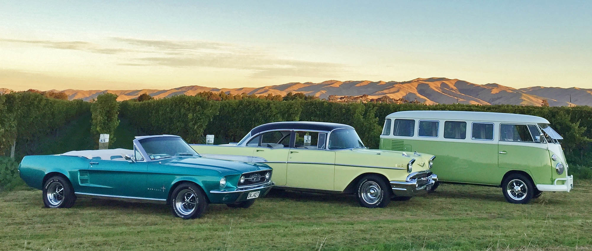 marlborough classic cars wine tour